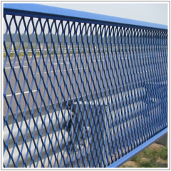 重型钢板网的防护应用案例